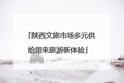 陕西文旅市场多元供给带来旅游新体验