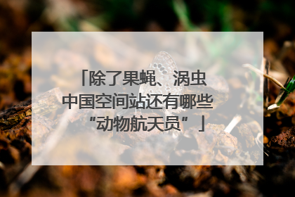 除了果蝇、涡虫 中国空间站还有哪些“动物航天员”