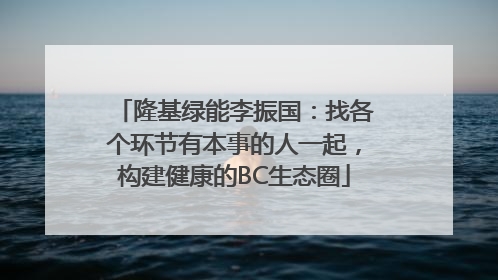 隆基绿能李振国：找各个环节有本事的人一起，构建健康的BC生态圈