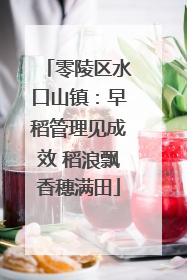 零陵区水口山镇：早稻管理见成效 稻浪飘香穗满田