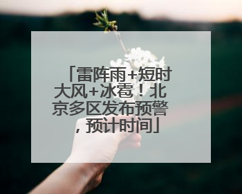 雷阵雨+短时大风+冰雹！北京多区发布预警，预计时间