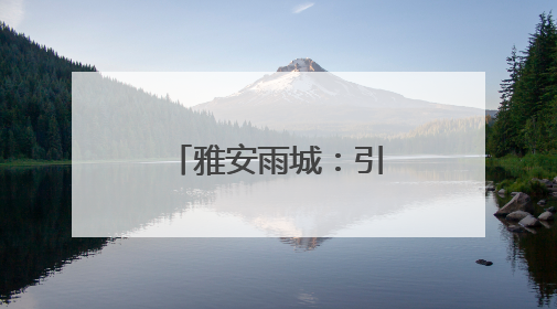 雅安雨城：引摊入市 点亮“夜间经济”
