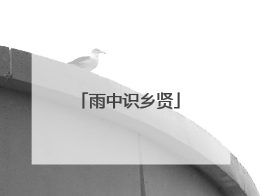 雨中识乡贤