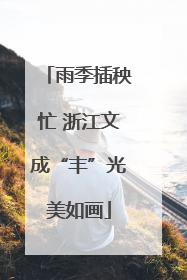 雨季插秧忙 浙江文成“丰”光美如画