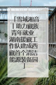 雪域湘音丨助力藏族青年就业 湖南援藏工作队建成西藏首个清洁能源装备园