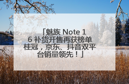 魅族 Note 16 补货开售再获榜单桂冠，京东、抖音双平台销量领先！