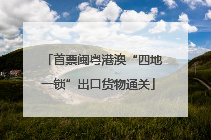 首票闽粤港澳“四地一锁”出口货物通关