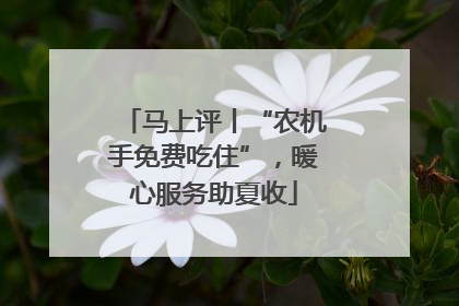 马上评丨“农机手免费吃住”，暖心服务助夏收
