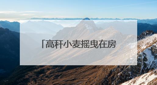 高秆小麦摇曳在房前屋后，巧手农民守望百年文化遗产