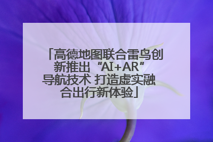 高德地图联合雷鸟创新推出“AI+AR”导航技术 打造虚实融合出行新体验