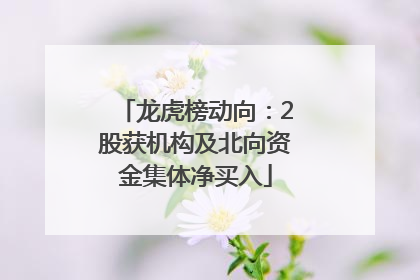 龙虎榜动向：2股获机构及北向资金集体净买入