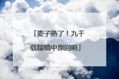 麦子熟了！九千载稼穑中原回响