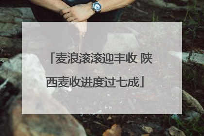 麦浪滚滚迎丰收 陕西麦收进度过七成