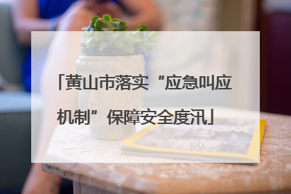 黄山市落实“应急叫应机制”保障安全度汛