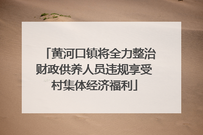 黄河口镇将全力整治财政供养人员违规享受村集体经济福利