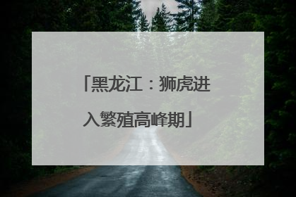 黑龙江：狮虎进入繁殖高峰期
