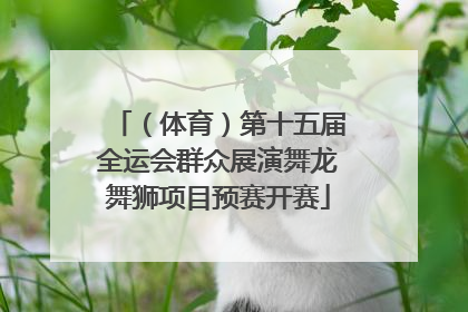 （体育）第十五届全运会群众展演舞龙舞狮项目预赛开赛