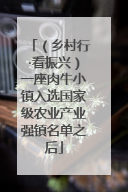 （乡村行·看振兴）一座肉牛小镇入选国家级农业产业强镇名单之后