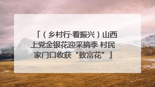 （乡村行·看振兴）山西上党金银花迎采摘季 村民家门口收获“致富花”