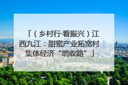 （乡村行·看振兴）江西九江：甜蜜产业拓宽村集体经济“增收路”