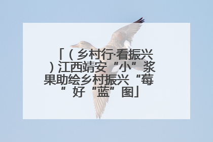 （乡村行·看振兴）江西靖安“小”浆果助绘乡村振兴“莓”好“蓝”图