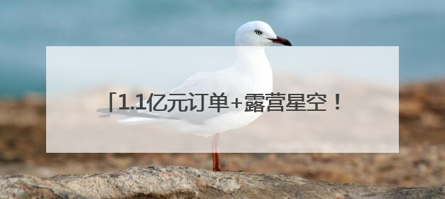 1.1亿元订单+露营星空！空港家博会▪畅购节燃爆今夏