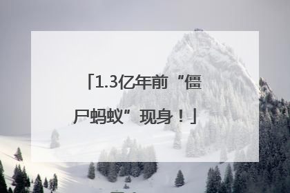 1.3亿年前“僵尸蚂蚁”现身！