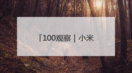 100观察｜小米汽车进入盈利倒计时，YU7定价反映品牌升维战略