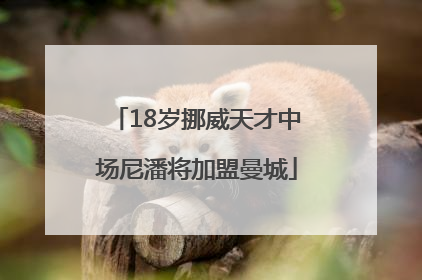 18岁挪威天才中场尼潘将加盟曼城