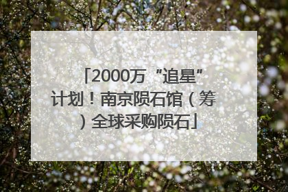 2000万“追星”计划！南京陨石馆（筹）全球采购陨石