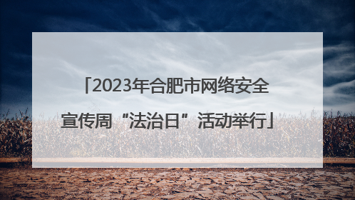 2023年合肥市网络安全宣传周“法治日”活动举行
