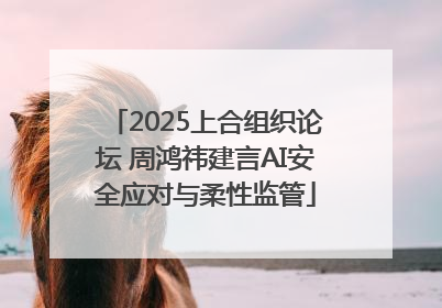 2025上合组织论坛 周鸿祎建言AI安全应对与柔性监管