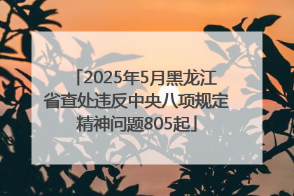 2025年5月黑龙江省查处违反中央八项规定精神问题805起