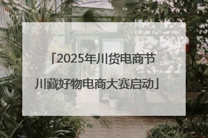 2025年川货电商节川藏好物电商大赛启动