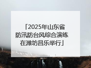 2025年山东省防汛防台风综合演练在潍坊昌乐举行