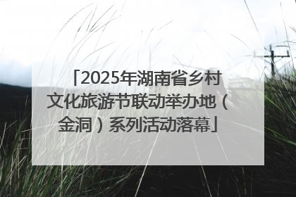 2025年湖南省乡村文化旅游节联动举办地（金洞）系列活动落幕