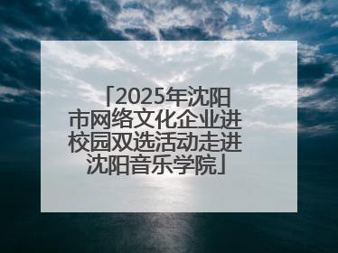 2025年沈阳市网络文化企业进校园双选活动走进沈阳音乐学院