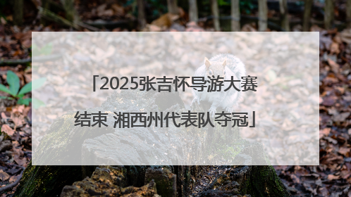 2025张吉怀导游大赛结束 湘西州代表队夺冠