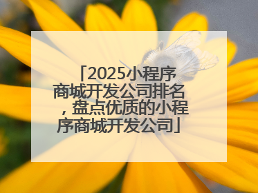 2025小程序商城开发公司排名，盘点优质的小程序商城开发公司