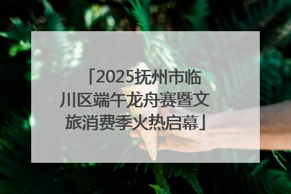2025抚州市临川区端午龙舟赛暨文旅消费季火热启幕