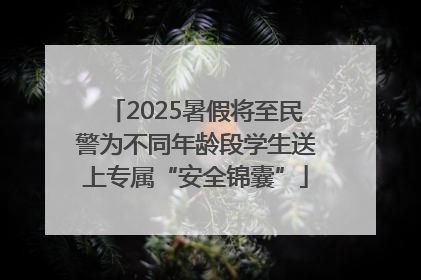 2025暑假将至民警为不同年龄段学生送上专属“安全锦囊”