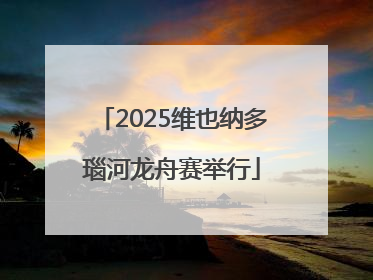 2025维也纳多瑙河龙舟赛举行