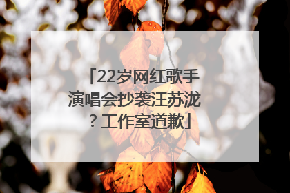 22岁网红歌手演唱会抄袭汪苏泷？工作室道歉