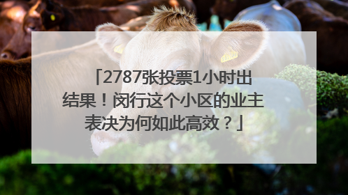2787张投票1小时出结果！闵行这个小区的业主表决为何如此高效？