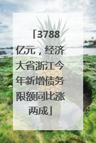 3788亿元，经济大省浙江今年新增债务限额同比涨两成