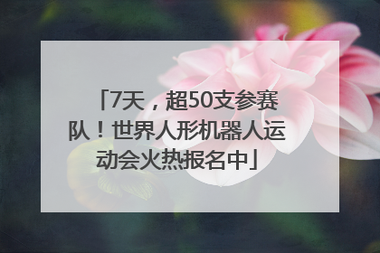 7天，超50支参赛队！世界人形机器人运动会火热报名中