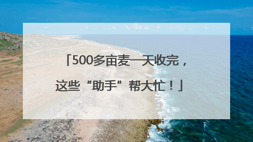 500多亩麦一天收完，这些“助手”帮大忙！