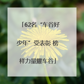 62名“车谷好少年”受表彰 榜样力量耀车谷