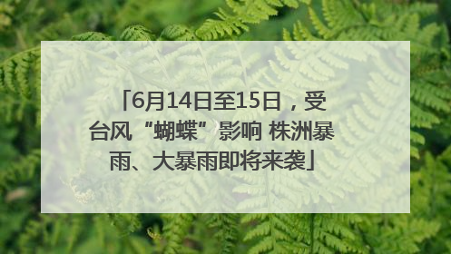6月14日至15日，受台风“蝴蝶”影响 株洲暴雨、大暴雨即将来袭