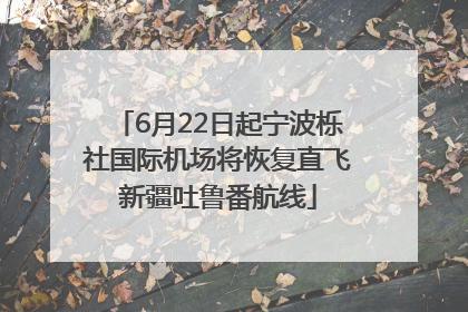 6月22日起宁波栎社国际机场将恢复直飞新疆吐鲁番航线